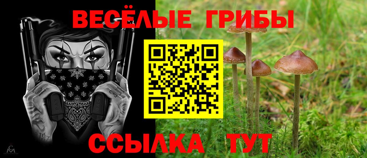 Черкесск  Псилоцибиновые грибы GOLDEN TEACHER  Вход с VPN  Псилоцибиновые грибы прущие грибы 